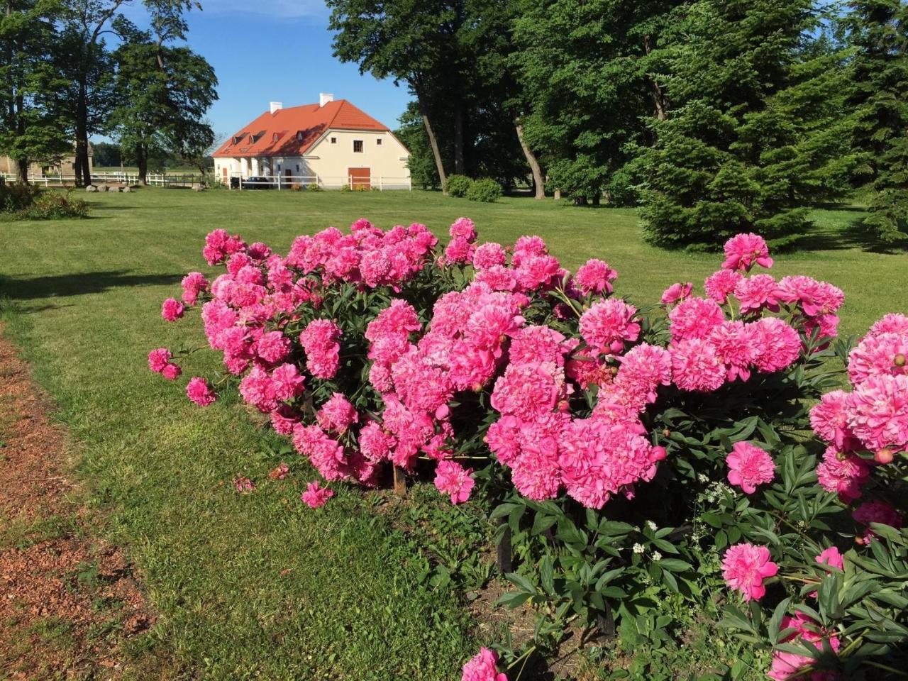 Ontika Boutique Guesthouse Екстер'єр фото